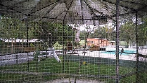 Belíssima Chácara No São Marcos Itanhaém/sp | 4437 Fr