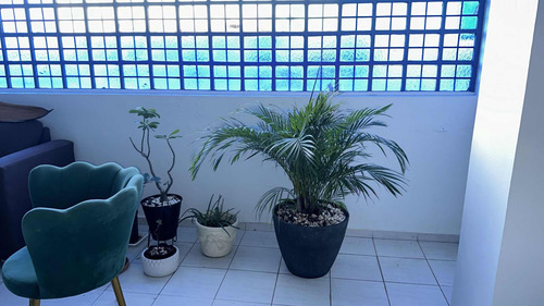 Apto. 3 Hab. Vacio Bella Vista Us. 1,050