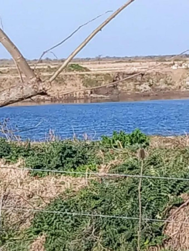 Imagen 7 de 8 de Lagoon Hudson Venta De Terreno Lote Guillermo E Hudson