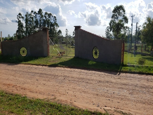 Chácara 10.000 M² - Loteamento Proalcool - Nova Santa Rita - Rs - 2344 - 67777328