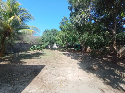 Re/max 2mil Alquila 4 Galpones En La Avenida 31 De Julio, Sector Guatamare. Isla De Margarita, Estado Nueva Esparta