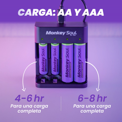 Cargador Con Pila 4 Aaa Batería Recargable Monkey Soul Usb-c