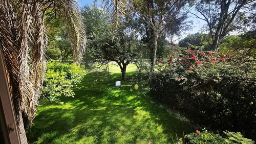 Casa En Renta/venta El Campestre Celaya