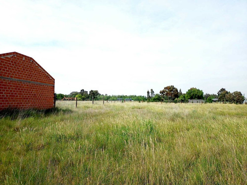 Terreno Lote En Venta En Coronel Suárez, Resto De La Provincia, Buenos Aires