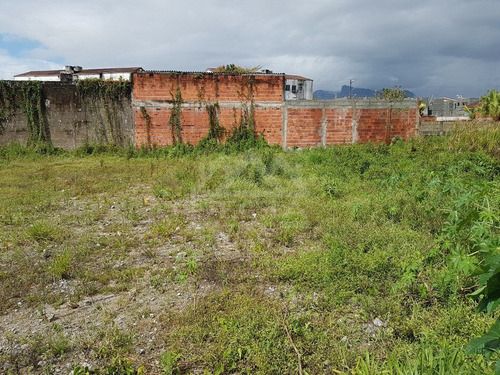 Imagem 3 de 6 de Terreno À Venda, 360 M², Pontal De Santa Marina - Caraguatatuba/sp. - Te00556 - 70028420