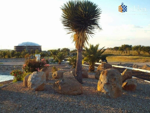 Imagen 6 de 12 de Terreno En Venta Conjunto Habitacional Las Villas Durango