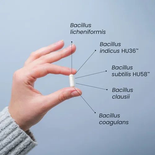 Microbiome Labs Megasporebiotic - Probiotico A Base De Espor