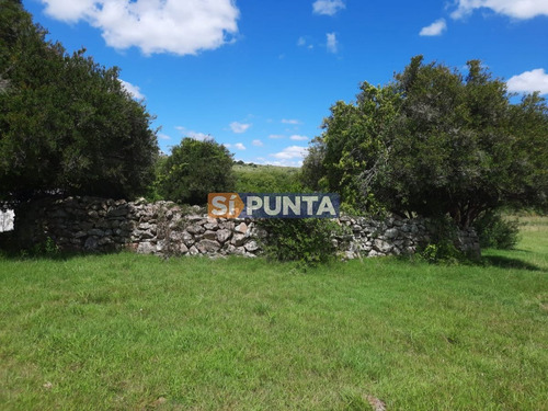 Imagen 2 de 22 de Linda Chacra De 5 Has En Las Cañas