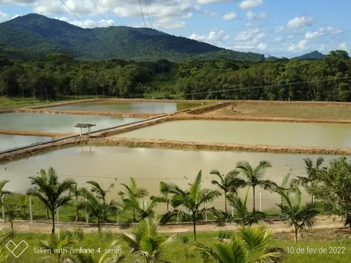 Fazenda De Piscicultura