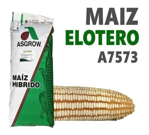 Semilla Maíz Hibrido Asgrow 7573 Elotero Bulto