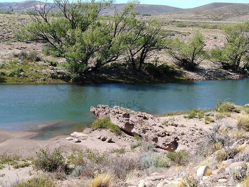 Imagen 8 de 8 de Venta Campo 3178 Ha, 8 Km Costa Rio Catan A 130 Km San Martin De Los Andes
