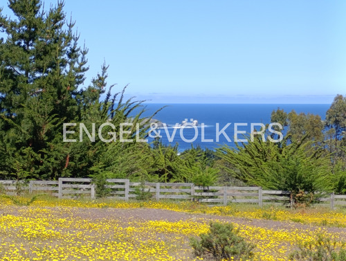 Excelente Terreno En Punta De Lobos