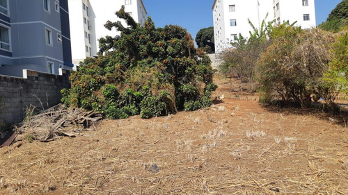 Imagem 5 de 15 de Lote Para Venda Em Belo Horizonte, Bonsucesso (barreiro), 1 Dormitório, 1 Banheiro - L19_1-2124123
