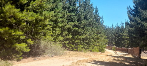 Terreno 20 Mtos. De Pichilemu Y Playa Mónaco