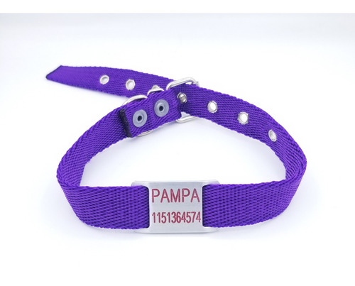 Chapita Para Perro Pasador Chico (modelo 28) +collar Violeta