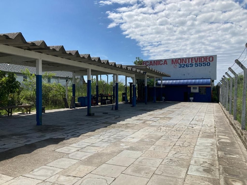 Imagem 1 de 14 de Terreno De 1008m² Com Galpão - Canasvieiras. - Te0784