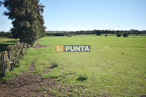 Imagen 4 de 19 de Chacra San Carlos Ruta 9