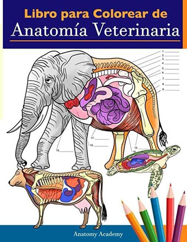 Libro Para Colorear De Anatomia Veterinaria : Libro De Trabajo Para Colorear De Autoevaluacion De..., De Anatomy Academy. Editorial Muze Publishing, Tapa Blanda En Español