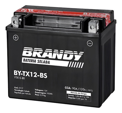 Bateria Brandy Ytx12-bs Tdm850 Er5 Vrf750f Citycom Ninja
