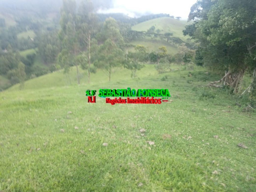 Imagem 4 de 15 de Belo Sítio Em Marmelópolis - Mg - 1247