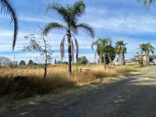 Lote Residencial En Fraccionamiento Los Cipreses, Tenextepec