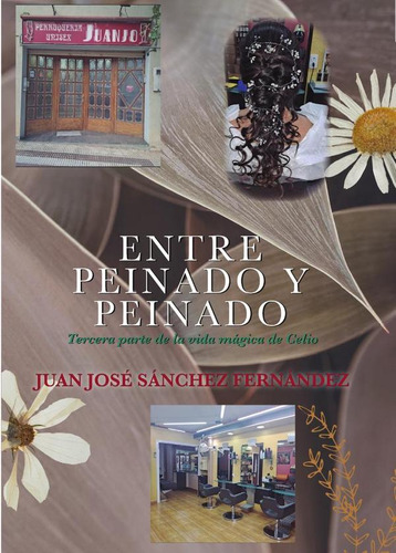 Entre Peinado Y Peinado, De Juan José Sánchez Fernández