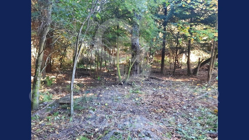 Imagen 4 de 17 de Venta Lote/terreno 1500m2 Selva Triste, Villa La Angostura
