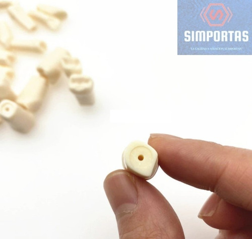 Imagen 2 de 3 de Dientes Para Modelo Frasaco Tipodonto 32 Piezas Desmontables