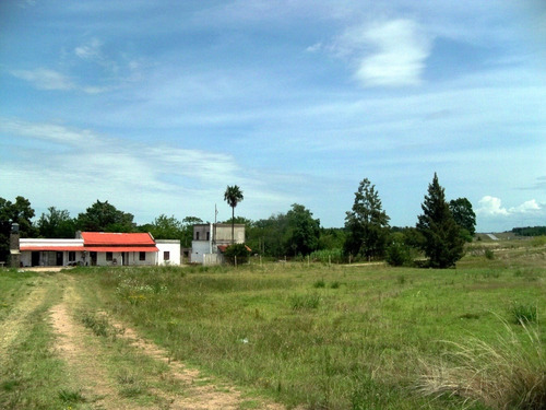 Imagen 9 de 9 de Chacra Venta Ubicación Estratégica Ideal Comercial -valdense
