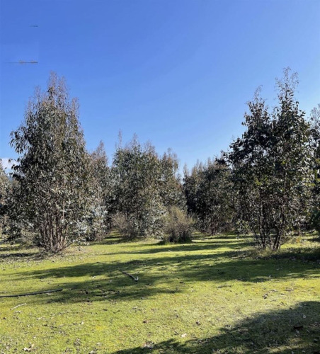 Parcelas En Vichuquén Al Lado De Laguna Torca Y Playa Llico