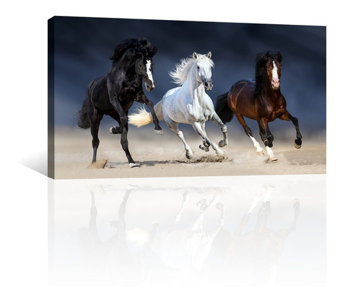 Cuadro Decorativo Animales Canvas Tres Caballos Corriendo