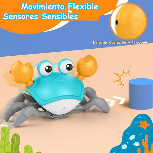 Juguete De Inducción Crab Crawler Para Cangrejos Con Música