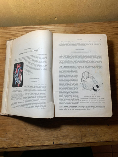 Tratando De Anatomía Humana, Segundo Tomo. 1933 (Usado)