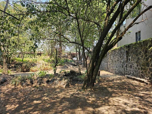 Terreno En Venta En Jardines Del Pedregal