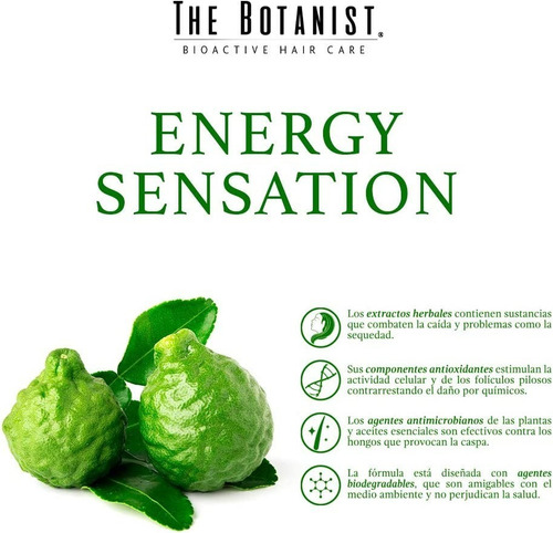 The Botanist Shampoo Bergamot Basil 591ml