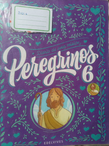 Libro Peregrinos 6 (Usado)