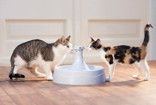 Fuente De Agua Para Mascotas