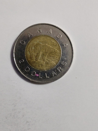 Moneda Canadá 2 Dollar 1996 Oso (x1322-1323