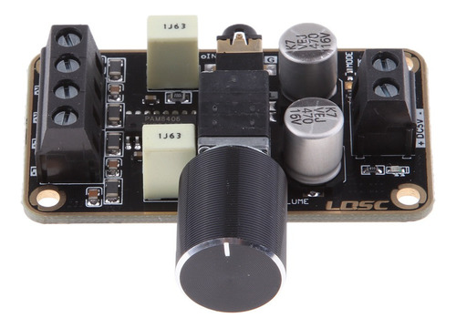 Pam8406 Dual Canales Amplificador For Sistema De Sonido