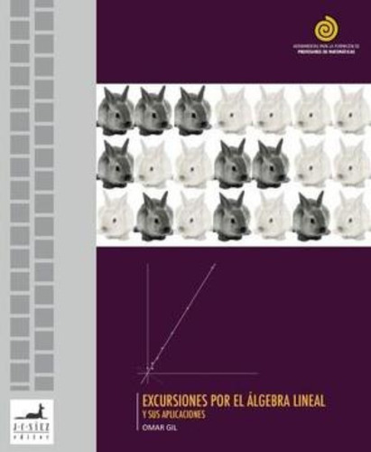 Excursiones Por El Algebra Lineal: Excursiones Por El Algebra Lineal, De Omar Gil. Editorial Juan Carlos Saez Editor, Tapa Blanda En Castellano
