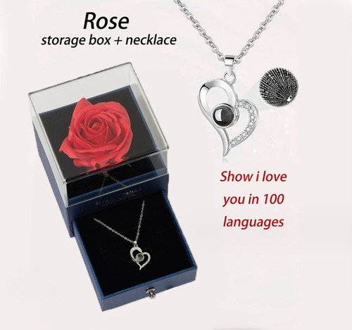Collar Preserved Eternal Roses + I Love You Em 100 Idiomas