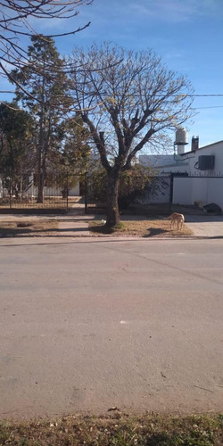 Imagen 4 de 15 de Local Con Panadera En Rancul (la Pampa) Fact. Comprobable