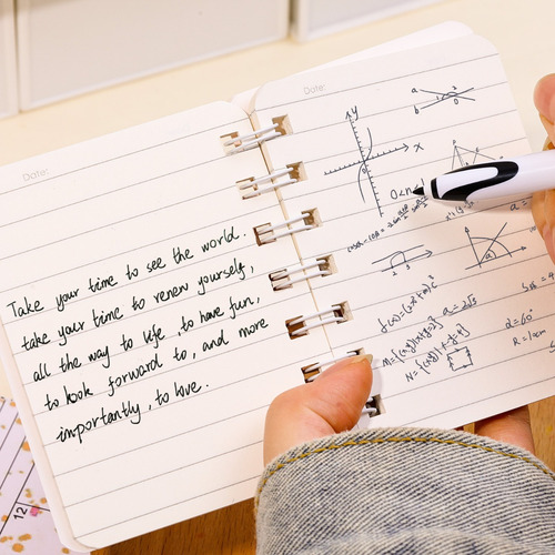 Cuaderno De Dibujos Animados Kapibara A7 Coil Notebook, Jueg
