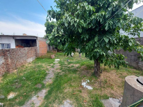 Imagen 23 de 30 de Casa Departamento Locales 5 Ambientes Venta El Palomar Ideal Galpón Depósito