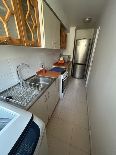 Arriendo Departamento Amoblado 3d Concepción (76897)