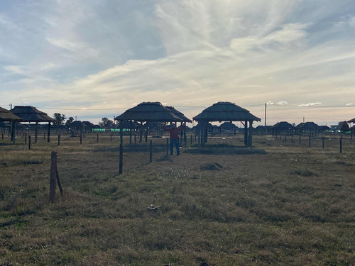 Lote De 300 Metros Cuadrados Barrio Don Eugenio 2 Gral. Rodr
