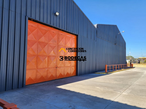 Arriendo Bodega De 750 M2 Con Of. En Ruta 5 Sur, Lautaro.