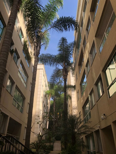 Imagem 1 de 29 de Apartamento Em Paraisópolis, São Paulo/sp De 165m² 3 Quartos À Venda Por R$ 600.000,00 - Ap1915094-s