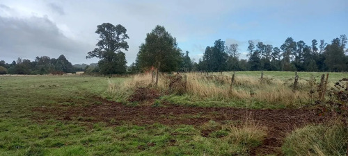 Parcela Agrícola De 4,7 Ha En Purranque-frutillar