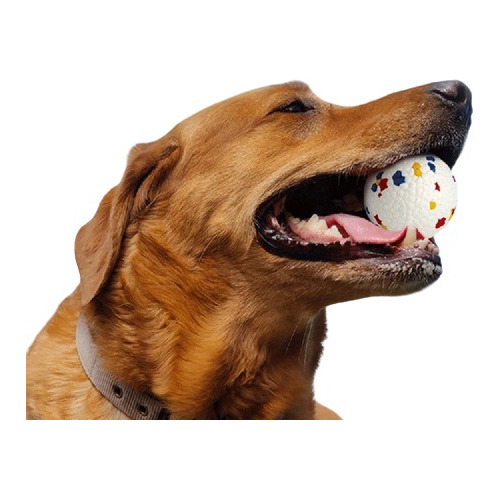 Juguete Pelota Perro Mascota E-tpu No Toxico 7.5cm X3 Unidad